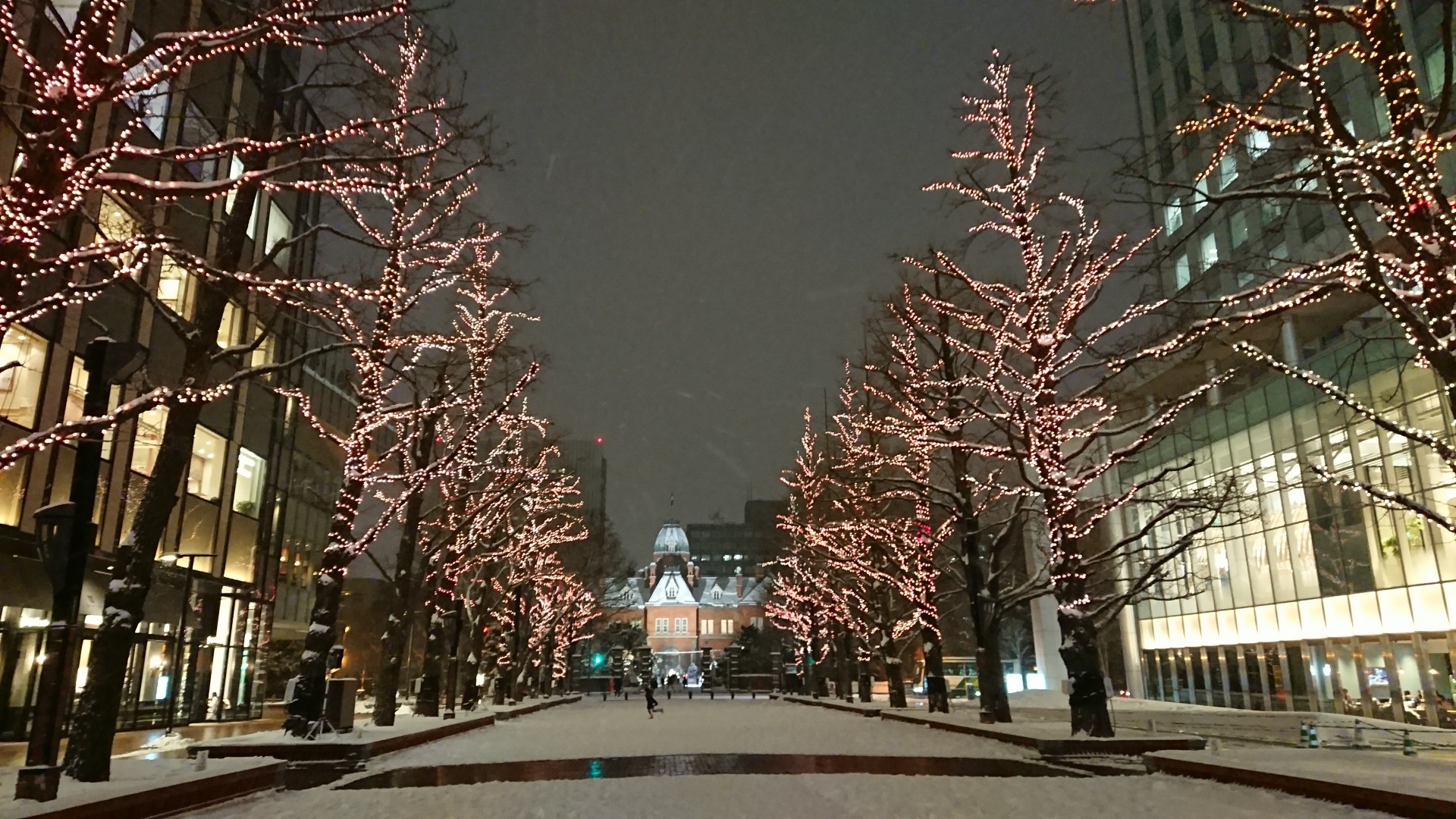 今年も要チェック！札幌のクリスマスイルミネーション情報まとめ