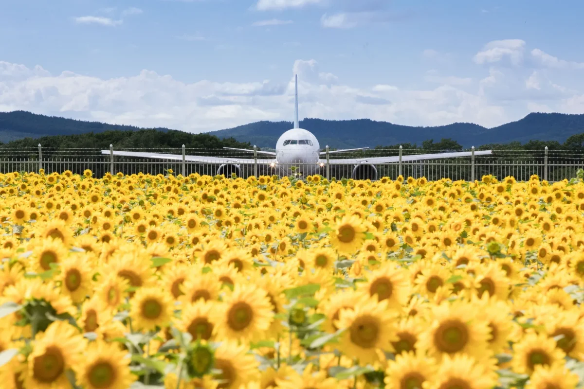 北海道に設けられている空港を紹介！飛行機に乗らないときも楽しもう！