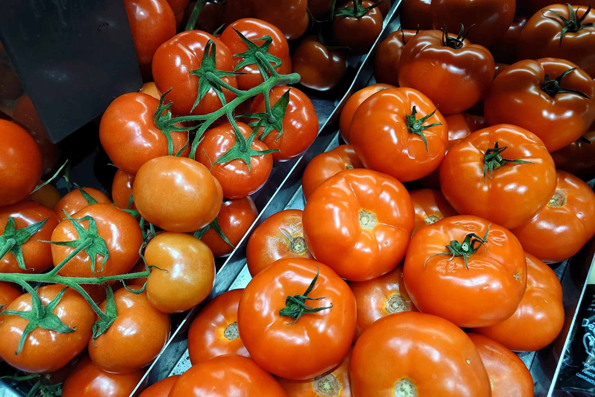 夏に食べたい野菜・トマト！栄養や人気レシピなどを調査